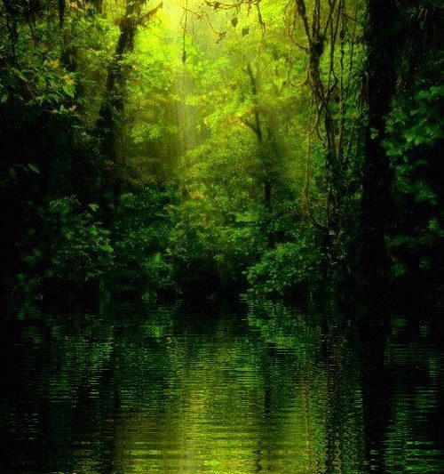 Surviving the wilds, then myself